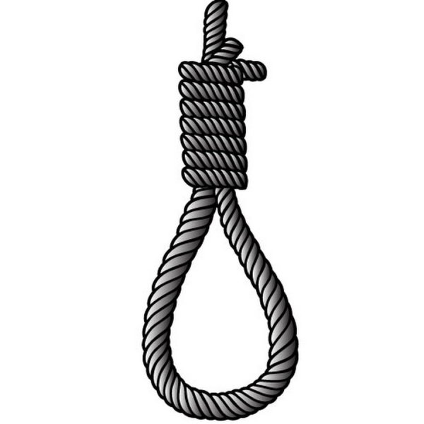 Петля веревка