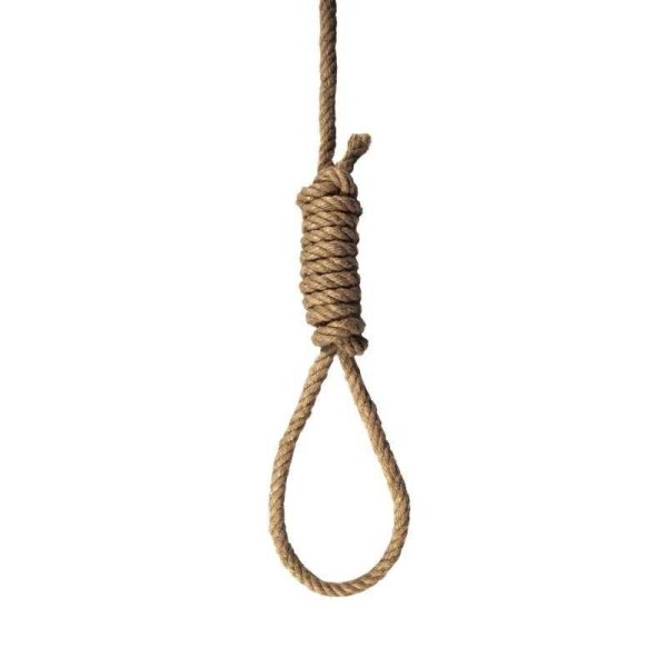 Петля Линча