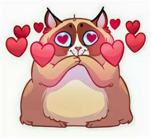 Стикеры телеграмм кошка с закидонами