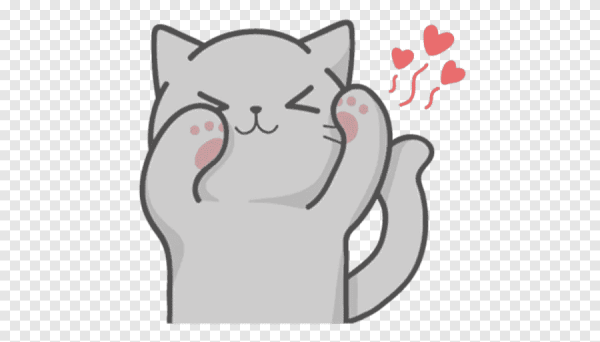 Стикер котик с сердечком