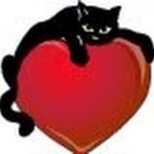 Черная кошка с сердечком