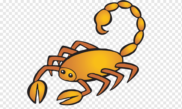 Скорпион мультяшка