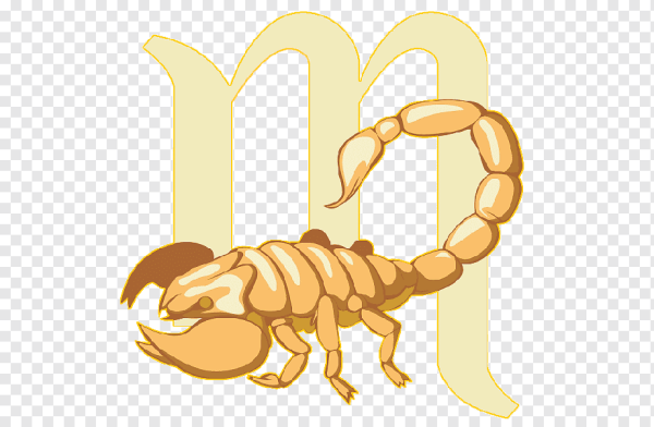 Скорпион знак зодиака символ