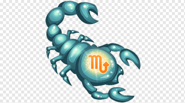 Скорпион для метрики