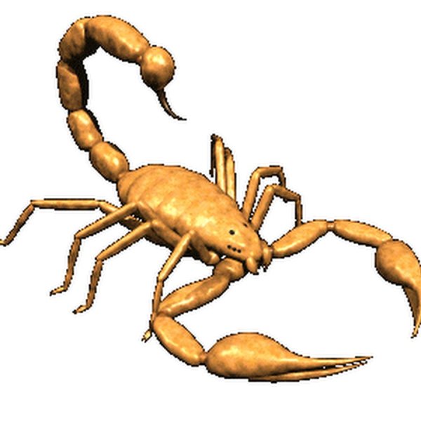 Скорпион гиф