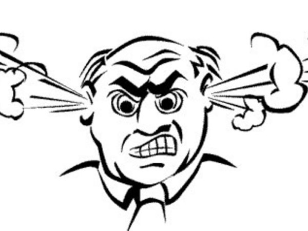 Пар из ушей