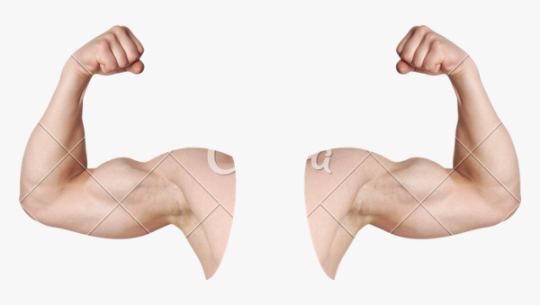 Накаченная рука на белом фоне