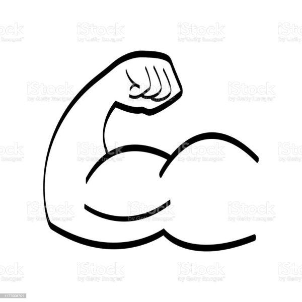 Бицепс рисунок