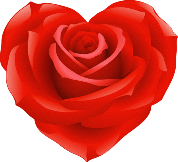 Розы в сердце