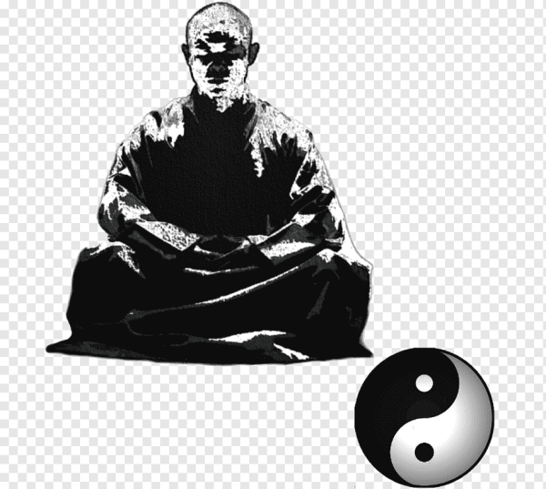 Панда монах Шаолинь