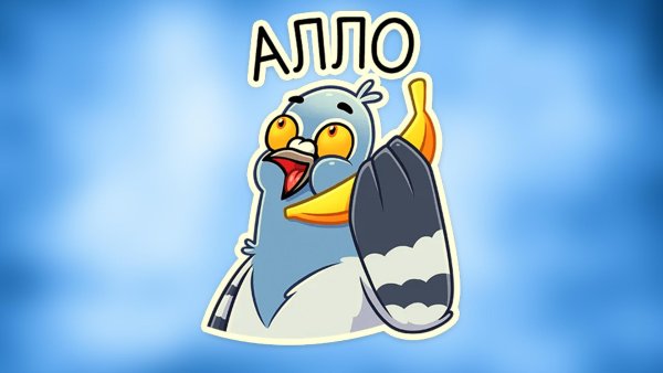 Стикер Бонжур в ВК