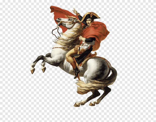 Наполеон Бонапарт мультяшный