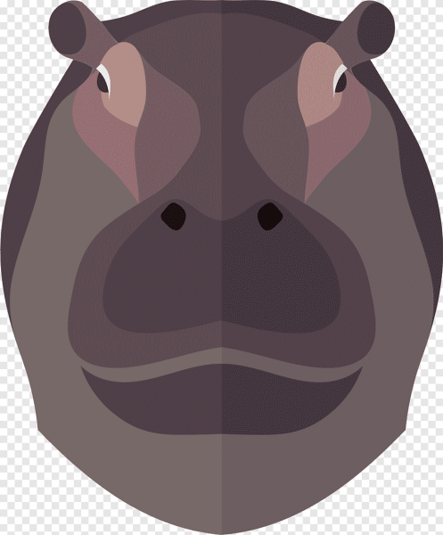 Мордочка бегемота