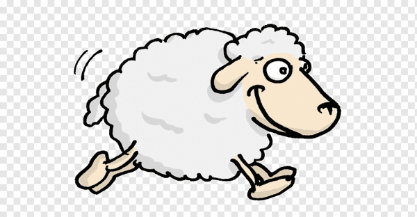 Овечка бежит