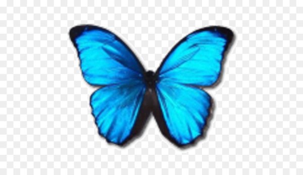 Эмодзи бабочка