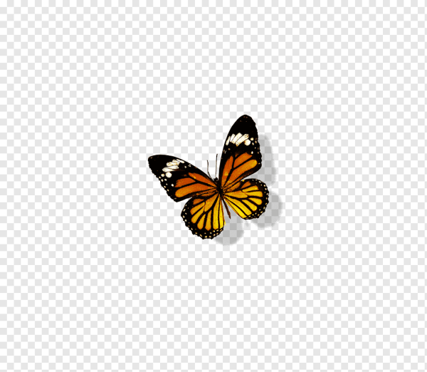 Бабочка ЭМОДЖИ