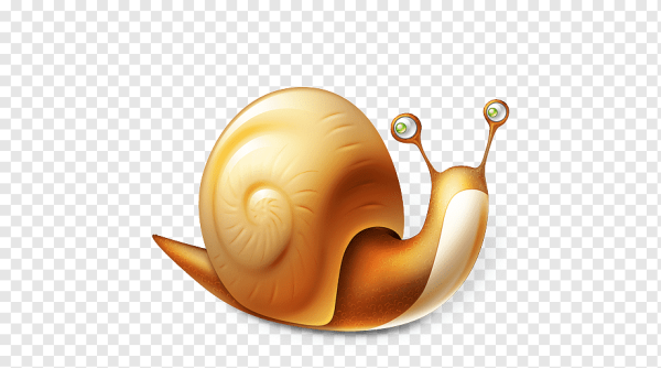 Моллюски значок