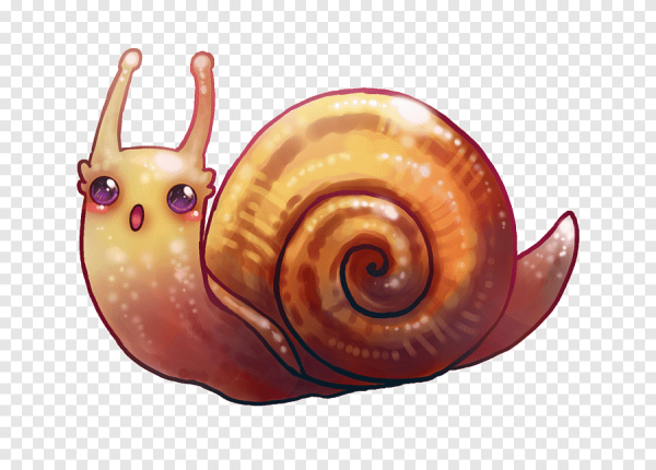 Sheldon улитка