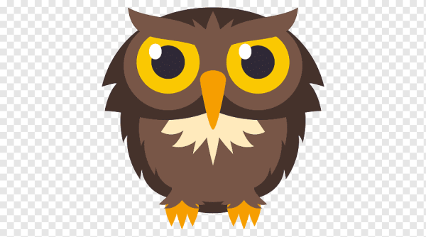 ВК Сова иконка