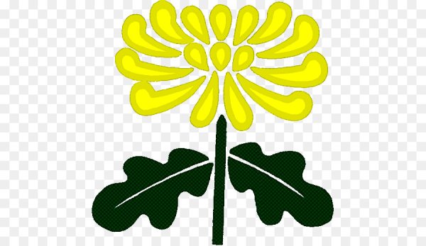 Куст жёлтых хризантем