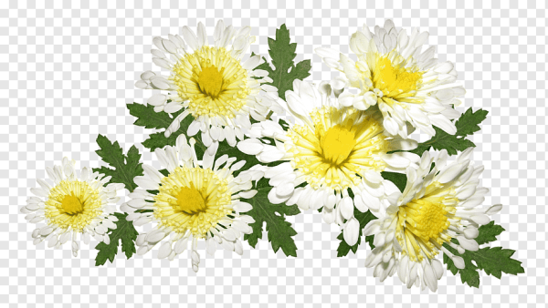 Веточка хризантемы