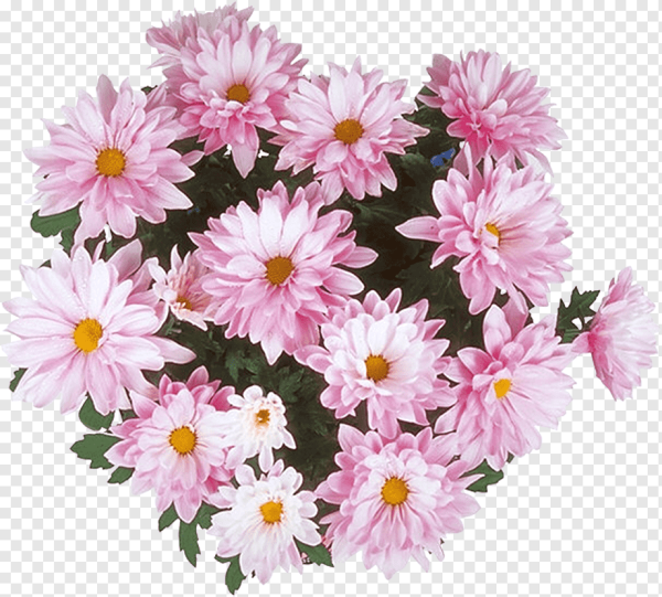 Осенние цветы