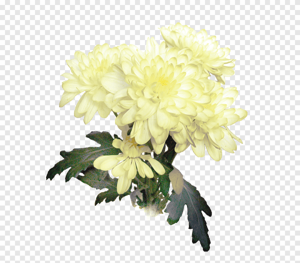 Одуванчик мультяшный