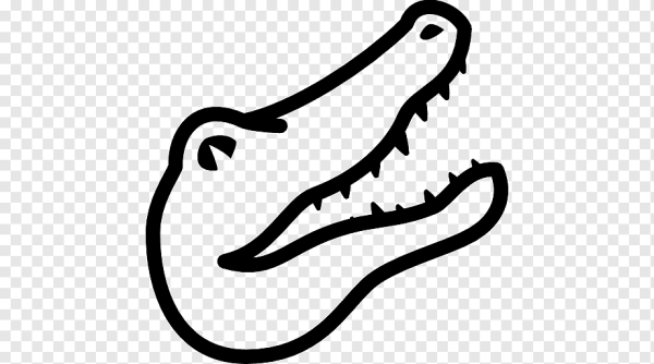 Миссисипский Аллигатор на белом фоне