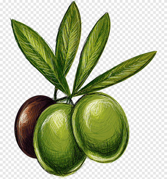 Оливки мультяшные