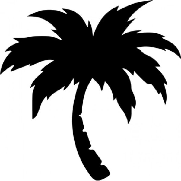 Пальма символ тропиков