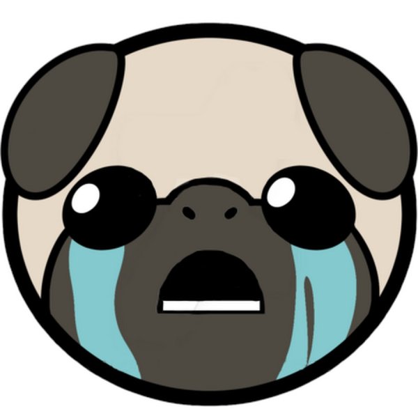 BIBLETHUMP BIBLETHUMP BIBLETHUMP