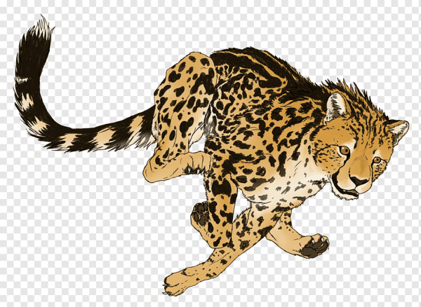 Гепард мультяшный