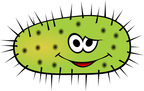 Веселые бактерии