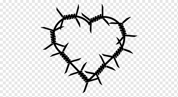 Сердце из колючей проволоки