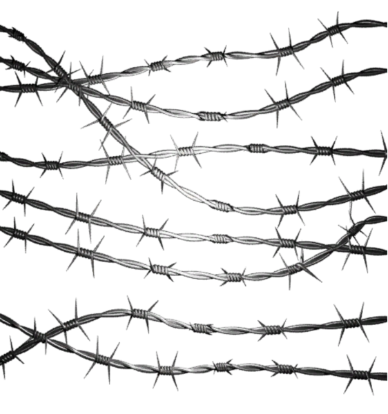 Проволока с шипами без фона