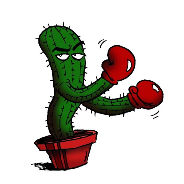 Крутой Кактус