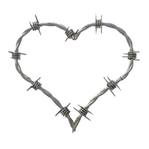 Сердце из колючей проволоки
