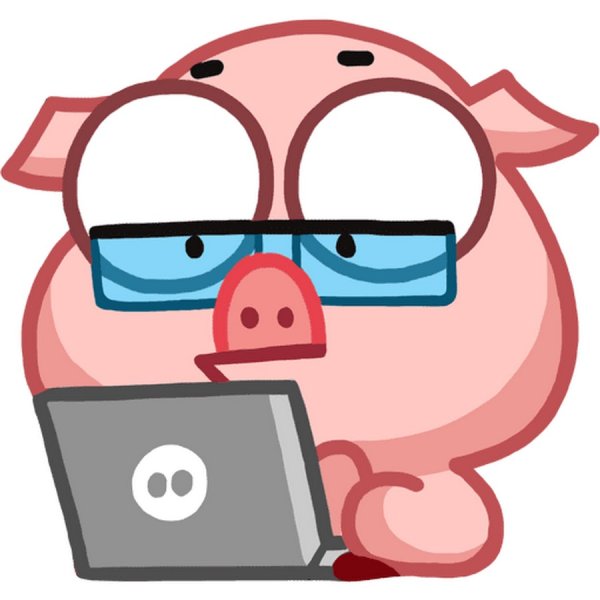 Стикеры со свиньей ВК