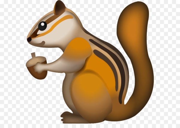 Смайл ВК белка