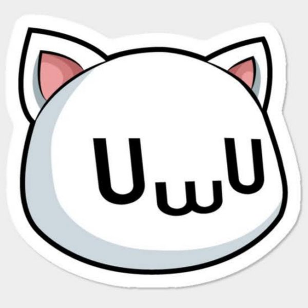 Кот для дискорда