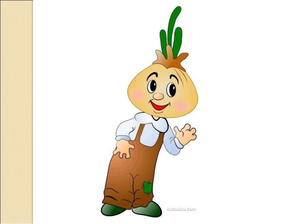 Чиполлино луковичка