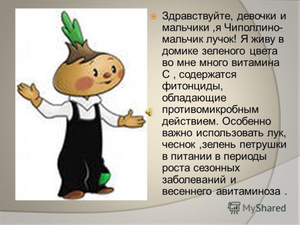 Луковица Чиполлино