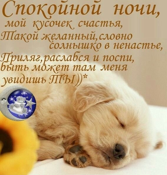 Спокойной ночи солнышко