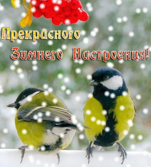 Благословение Божие на день грядущий открытки