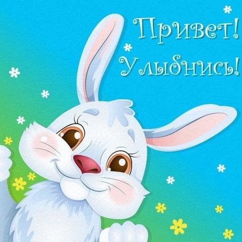 Привет зайчик