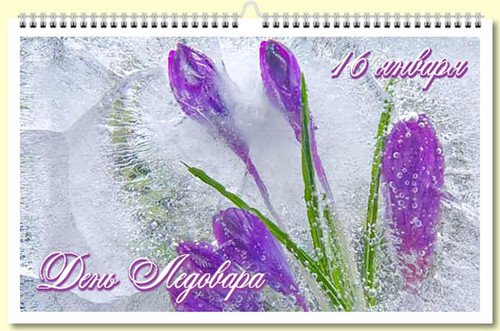 День ледовара 16 января