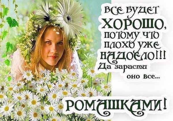 Да зарасти оно всё ромашками