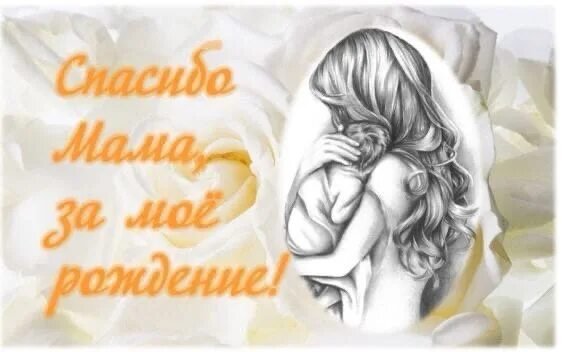 Спасибо маме за мое рождение