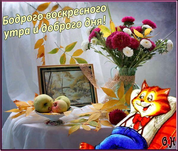 Открытки с добрым утром воскресенья