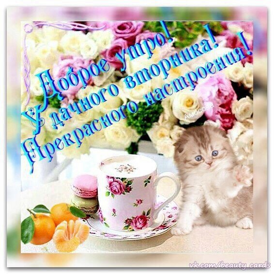 Доброе утро удачного вторника и хорошего настроения